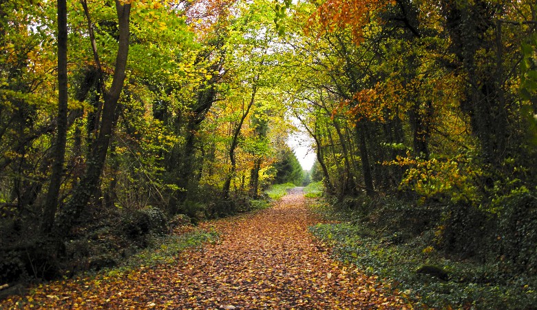 IMG_2021IMG_2021IMG_2021IMG_2021